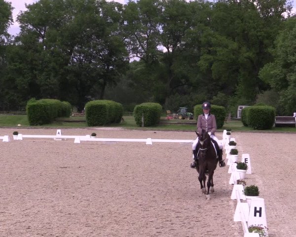 Reitturnier Münster-Handorf 2021