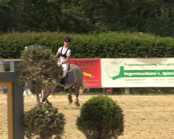 Reitturnier Münster-Handorf 2021