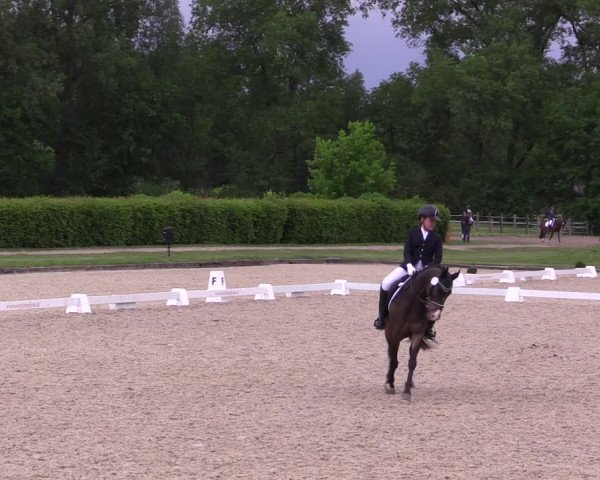 Reitturnier Münster-Handorf 2021
