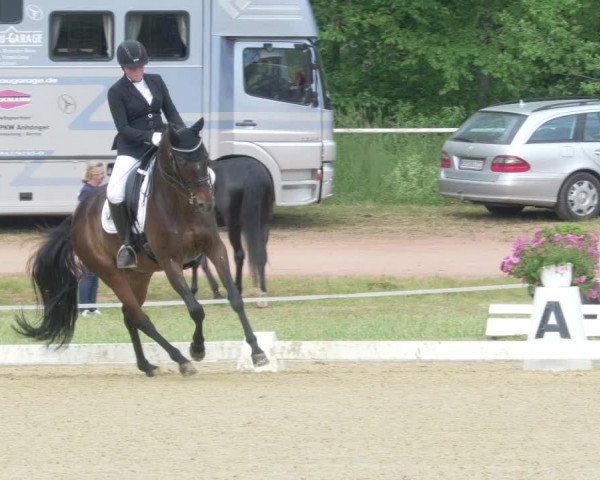 Reitturnier Heiligenwald 2021