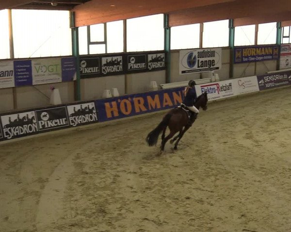 Steinhagen Classics 2021