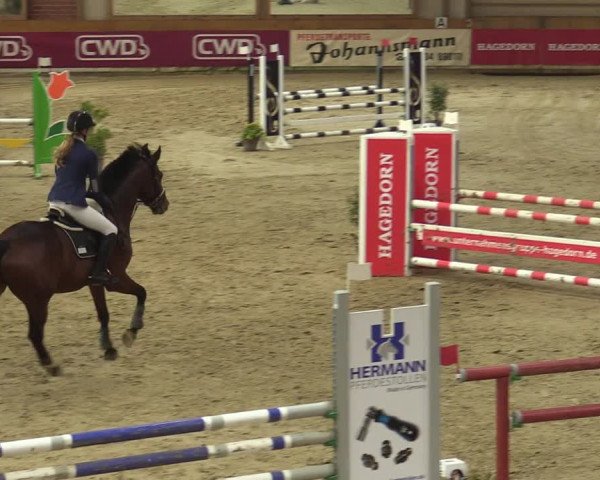 Steinhagen Classics 2021