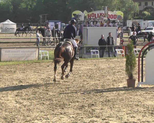 Reitturnier Heiligenwald 2021