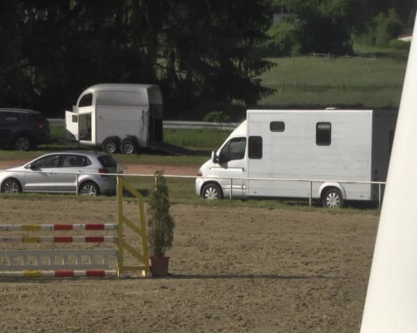 Reitturnier Heiligenwald 2021