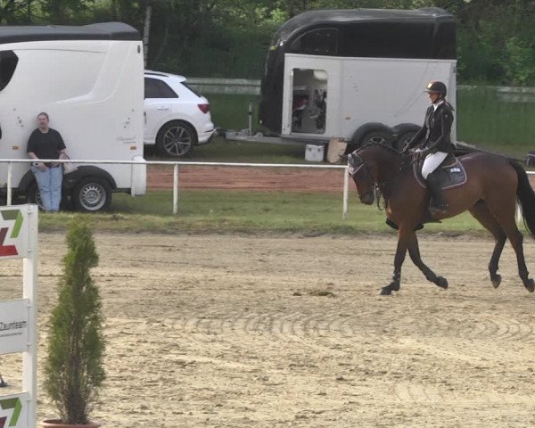 Reitturnier Heiligenwald 2021