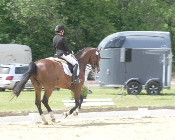 Reitturnier Heiligenwald 2021