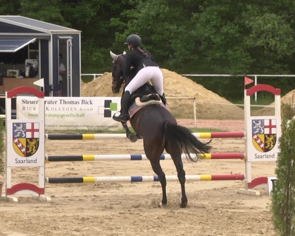 Reitturnier Heiligenwald 2021