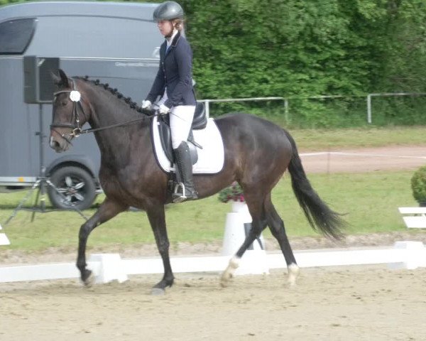 Reitturnier Heiligenwald 2021