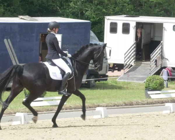 Reitturnier Heiligenwald 2021