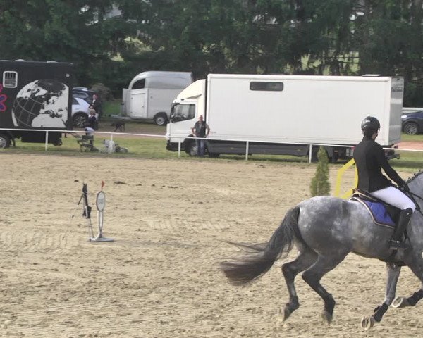 Reitturnier Heiligenwald 2021