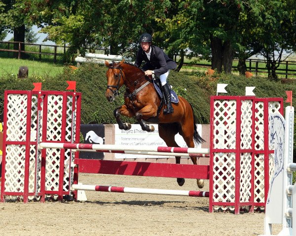 broodmare Chelsea (Holsteiner, 2005, from Con Air)
