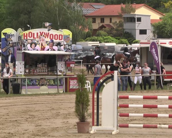 Reitturnier Heiligenwald 2021