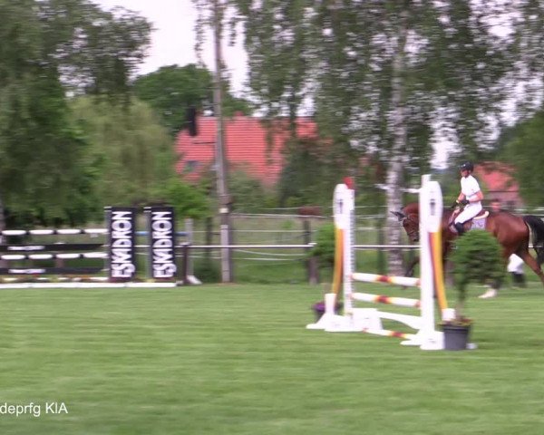 Reitturnier Hille 2021