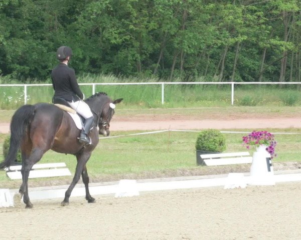 Reitturnier Heiligenwald 2021