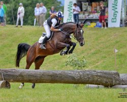 broodmare Wannabe 8 (Bavarian, 2009, from Chat qui Rit de L)