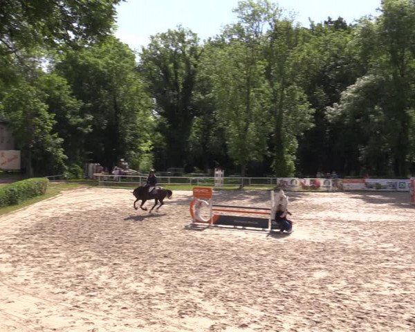 Reitturnier Prussendorf 2021