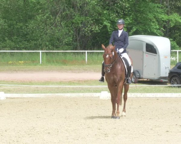 Reitturnier Heiligenwald 2021