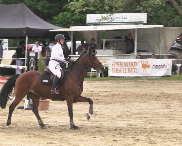 Reitturnier Heiligenwald 2021