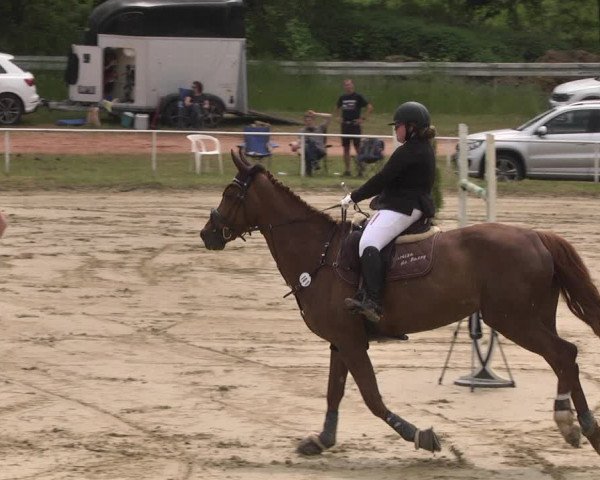 Reitturnier Heiligenwald 2021