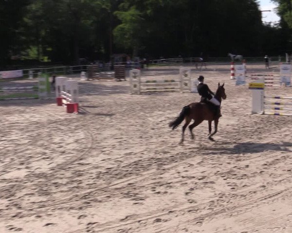 Reitturnier Prussendorf 2021