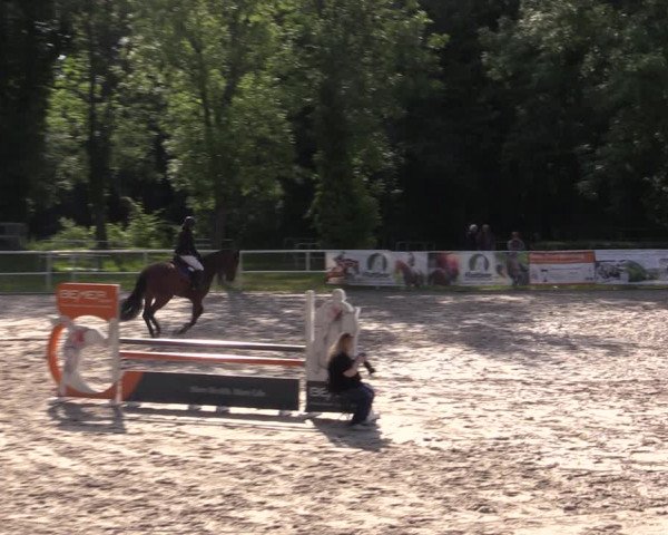 Reitturnier Prussendorf 2021