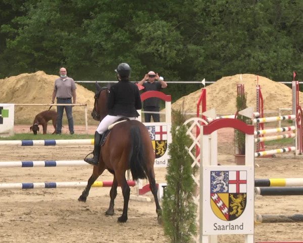 Reitturnier Heiligenwald 2021