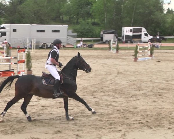 Reitturnier Heiligenwald 2021