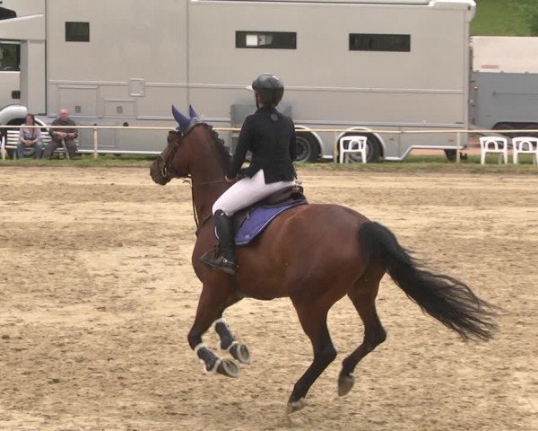 Reitturnier Heiligenwald 2021
