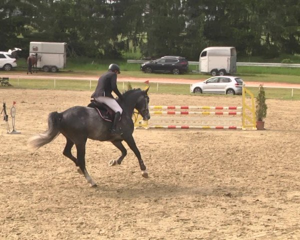 Reitturnier Heiligenwald 2021