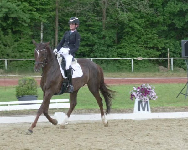 Reitturnier Heiligenwald 2021
