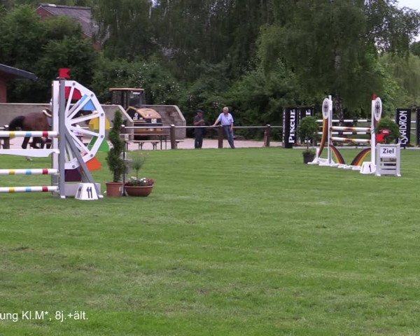 Reitturnier Hille 2021