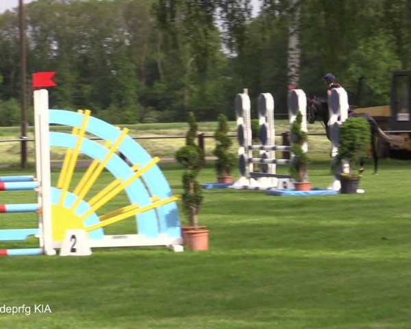 Reitturnier Hille 2021
