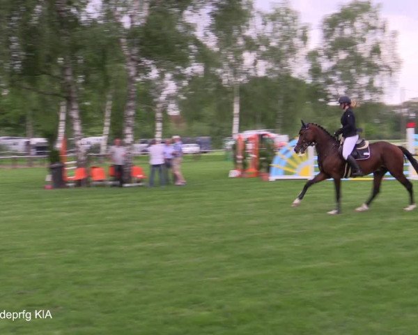 Reitturnier Hille 2021