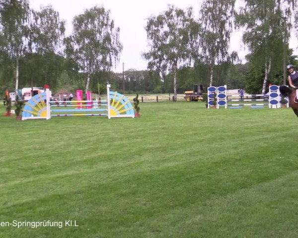 Reitturnier Hille 2021