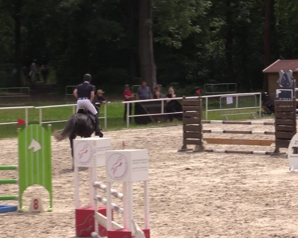 Reitturnier Prussendorf 2021