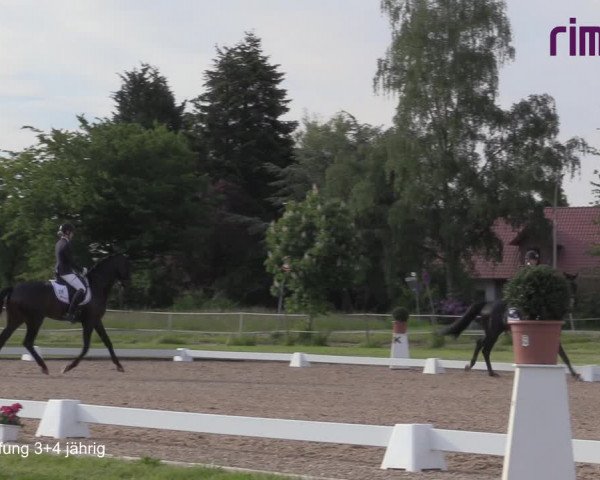 Reitturnier Hille 2021