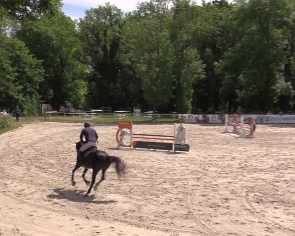 Reitturnier Prussendorf 2021
