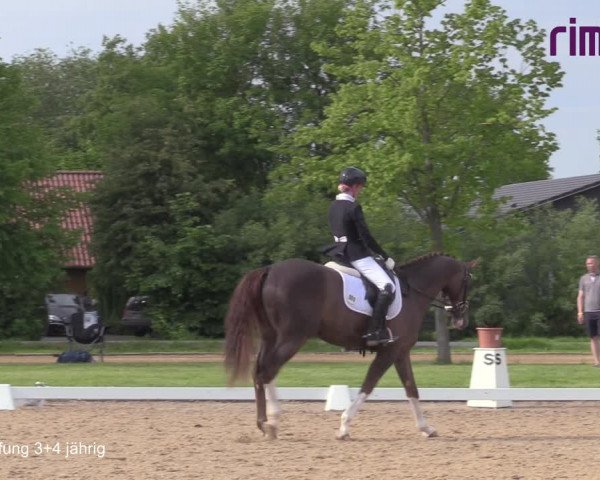 Reitturnier Hille 2021