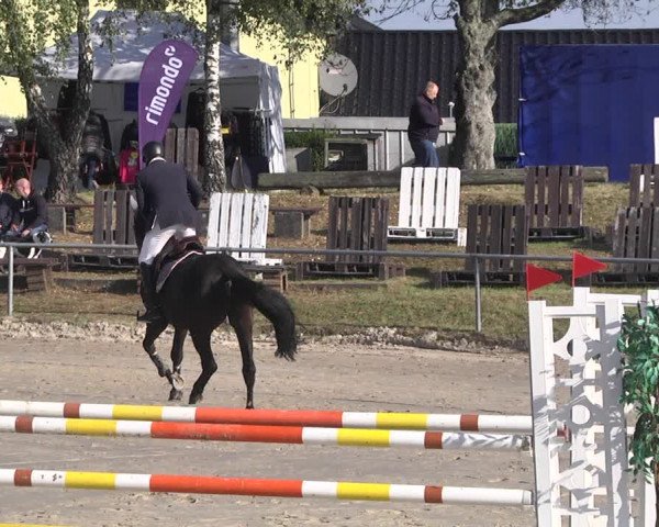 Reitturnier Neunkirchen-City 2021