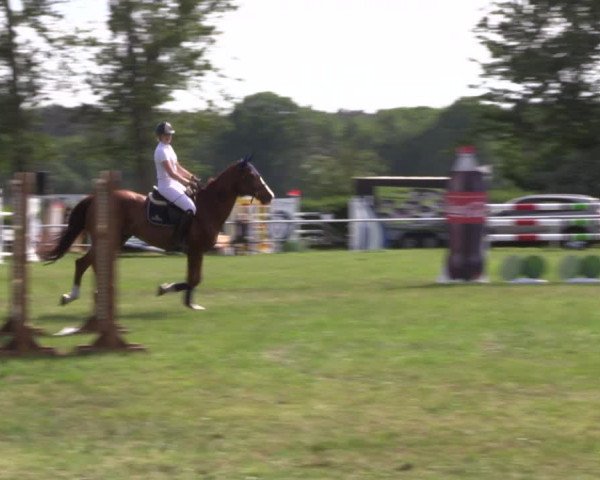 Reitturnier Großwoltersdorf 2021