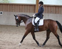 dressage horse Fred 64 (Polish Warmblood, 2000)