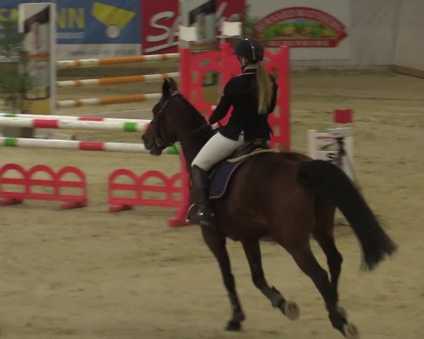 Steinhagen Classics 2021