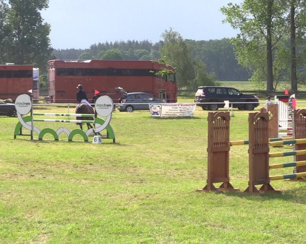 Reitturnier Großwoltersdorf 2021