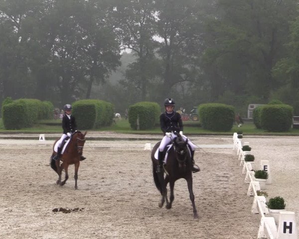 Reitturnier Münster-Handorf 2021