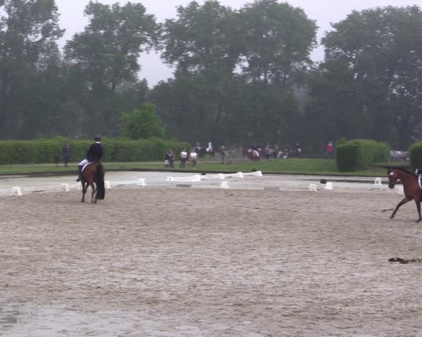 Reitturnier Münster-Handorf 2021