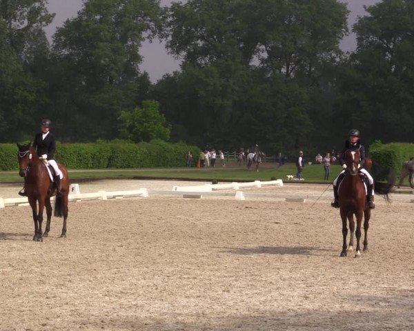 Reitturnier Münster-Handorf 2021
