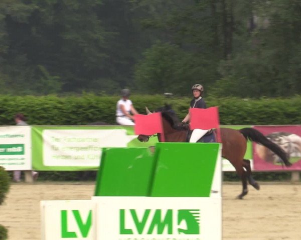 Reitturnier Münster-Handorf 2021