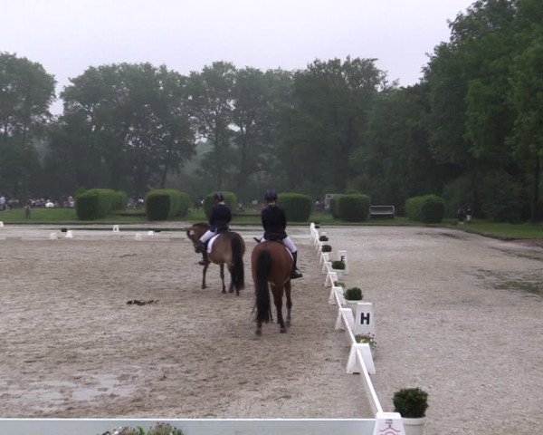 Reitturnier Münster-Handorf 2021