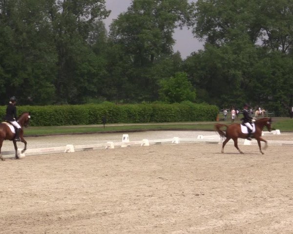 Reitturnier Münster-Handorf 2021