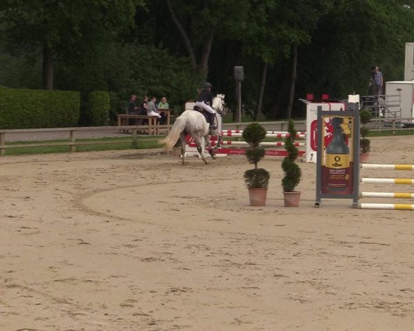 Reitturnier Münster-Handorf 2021